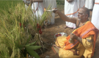 Bhumi Pujan, Navanna Bhojan, Shirali   (9 Oct 2022)